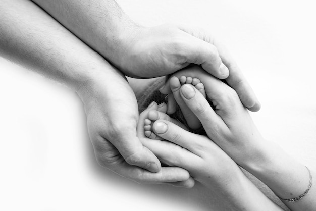 Legs toes feet and heels of a newborn with the hands of parents\
father mother gently holds the child39s legs macro photography\
closeup black and white photo high quality photo