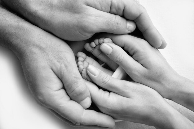 Legs toes feet and heels of a newborn with the hands of parents\
father mother gently holds the child39s legs macro photography\
closeup black and white photo high quality photo