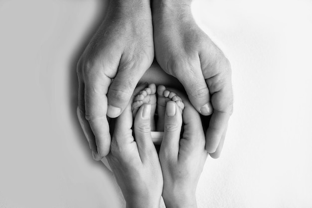 Legs toes feet and heels of a newborn With the hands of parents father mother gently holds the child39s legs Macro photography closeup Black and white photo High quality photo