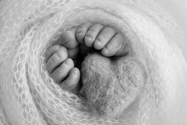 신생아의 다리, 발가락, 발 및 발 뒤꿈치. 흰색 니트 담요에 싸여 싸여 있습니다. 매크로 사진, 클로즈업입니다. 아기의 다리에 니트 블루 하트. 흑백 사진입니다. 고품질 사진