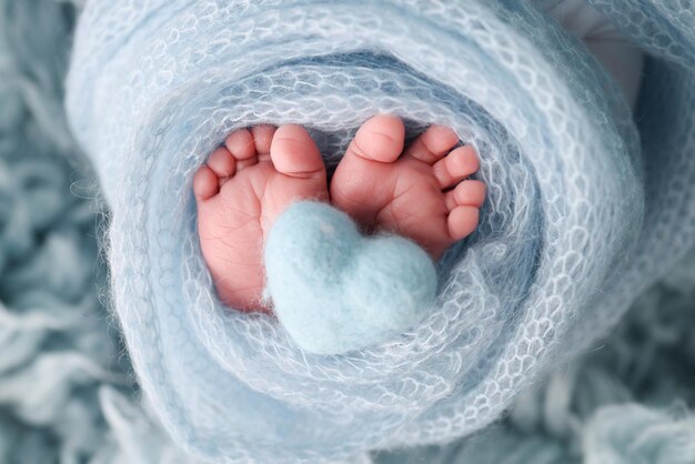 Legs toes foot and heels of a newborn the feet wrapped in a\
blue knitted blanket macro stidio photo closeup knitted blue heart\
in baby39s legs high quality photo