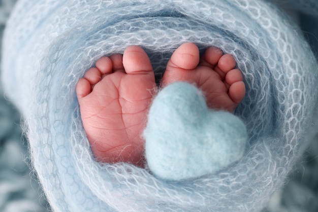 Legs toes foot and heels of a newborn the feet wrapped in a\
blue knitted blanket macro stidio photo closeup knitted blue heart\
in baby39s legs high quality photo