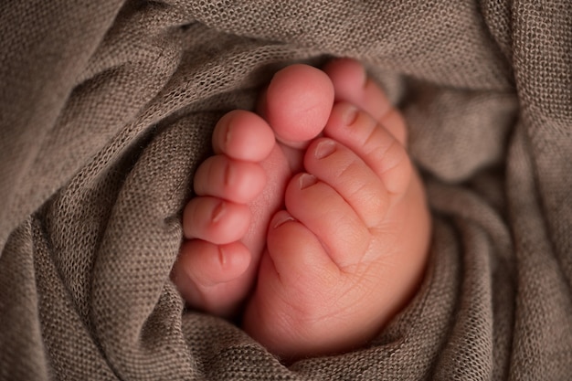 Legs and toes of a newborn in a soft blanket