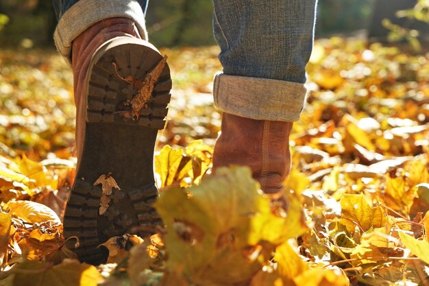 Legs of woman walking in autumn park on sunny day