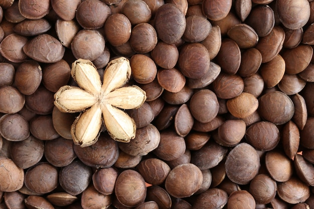 Photo legumes of sacha inchi or inca peanut.