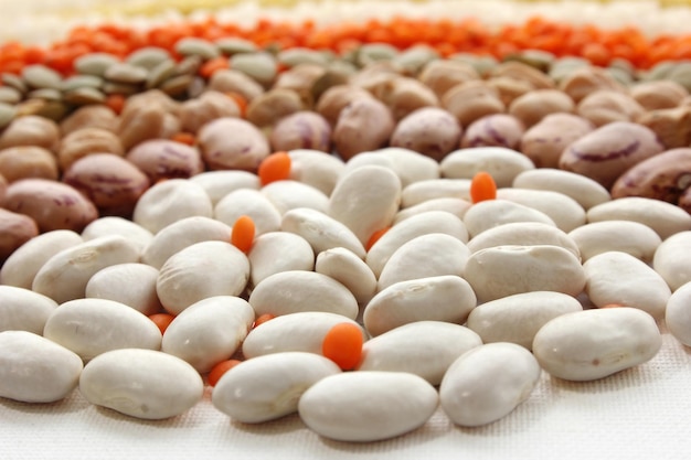 Legumes