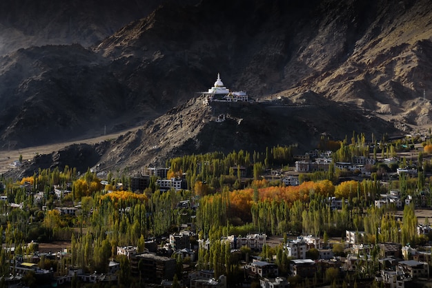 Foto scape della città di leh ladakh con luce solare