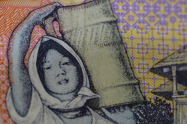 LEI Roemeens geld RON Leu Geld Europese valuta