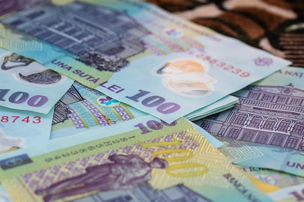 ルーマニア ローン ルイ ヨーロッパ通貨