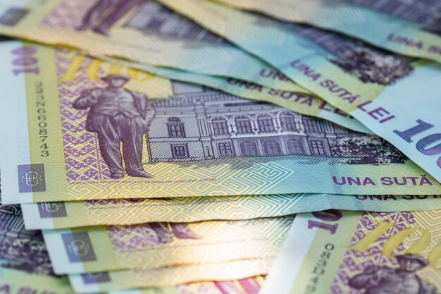 ルーマニア ローン ルイ ヨーロッパ通貨