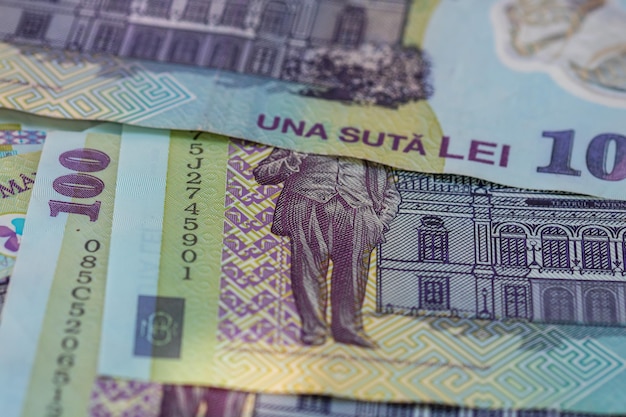 ルーマニア ローン ルイ ヨーロッパ通貨