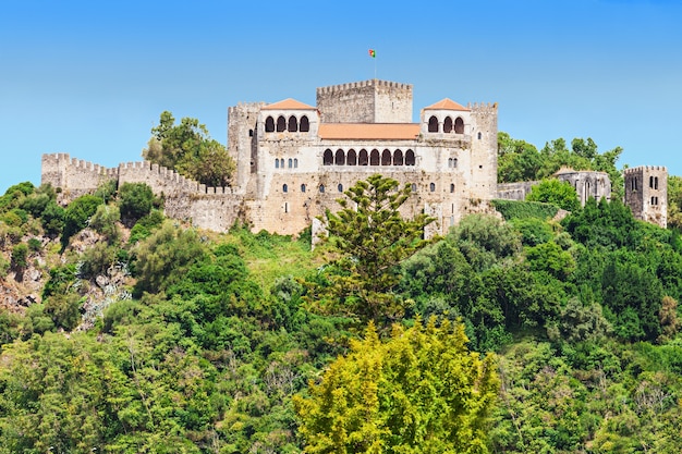 Il castello di leiria è un castello nella città di leiria in portogallo