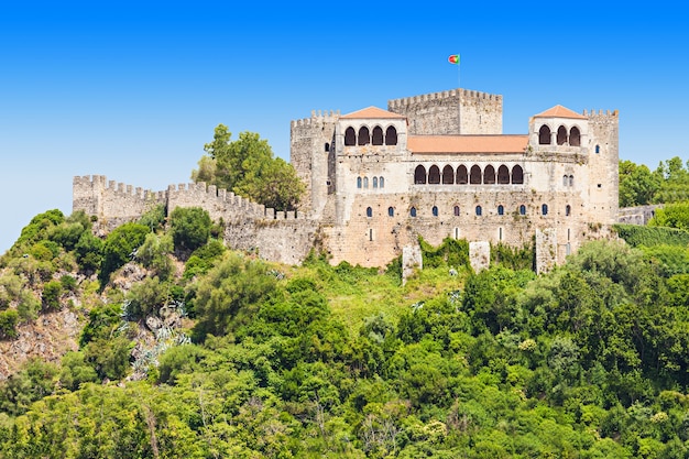 Il castello di leiria è un castello nella città di leiria in portogallo