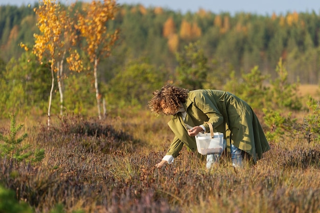 Leisure in nature young woman with basket collecting ripe cranberries in countryside on weekend