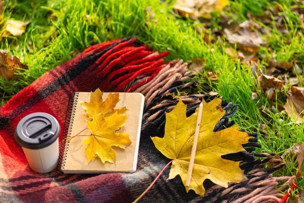 Foto tempo libero con una coperta calda e una tazza di caffè in un parco autunnale. umore e stato d'animo autunnale.