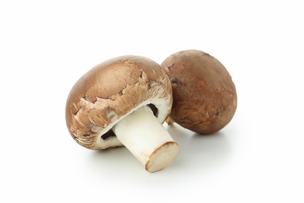 Lekker champignons paddenstoelen geïsoleerd op witte achtergrond