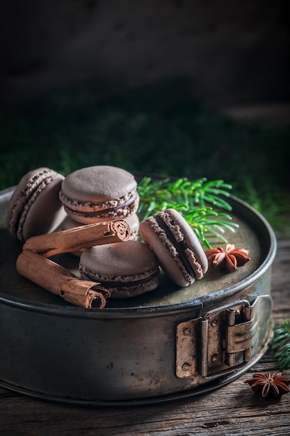 Lekkere bitterkoekjes voor Kerstmis met kaneel en sparren