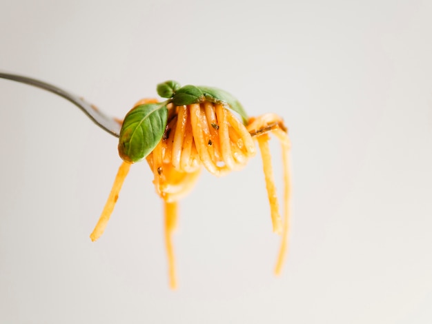 Lekkere spaghetti gewikkeld rond vork