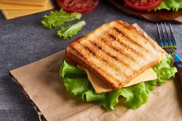 Lekkere vegetarische sandwich met tomaten en kaas op een grijze stenen tafel Exemplaarruimte