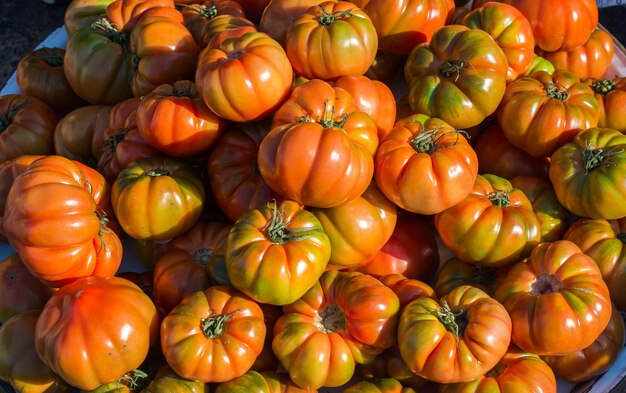 Lekkere verse tomaten in zicht