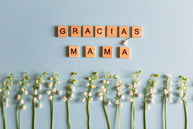 Lelietje-van-dalen op de blauwe foto en de tekst in houten letters "gracias mamÃƒÂ¡".