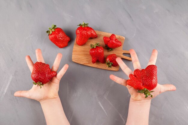 Lelijk fruit. Kinderhanden bieden rijpe grappige aardbeien met een ongewone vorm.