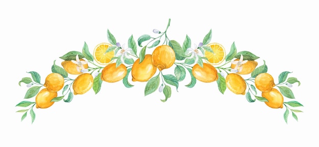 Lemon branches on a white background watercolor