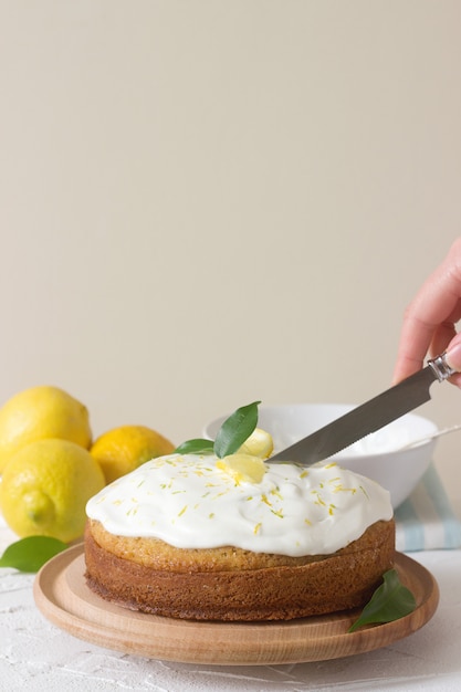 Lemon cake with whipped cream, copyspace