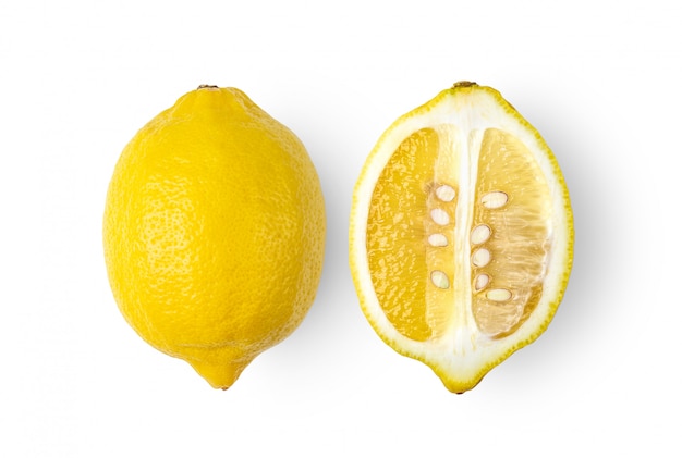 Lemon citrus fruit isolated