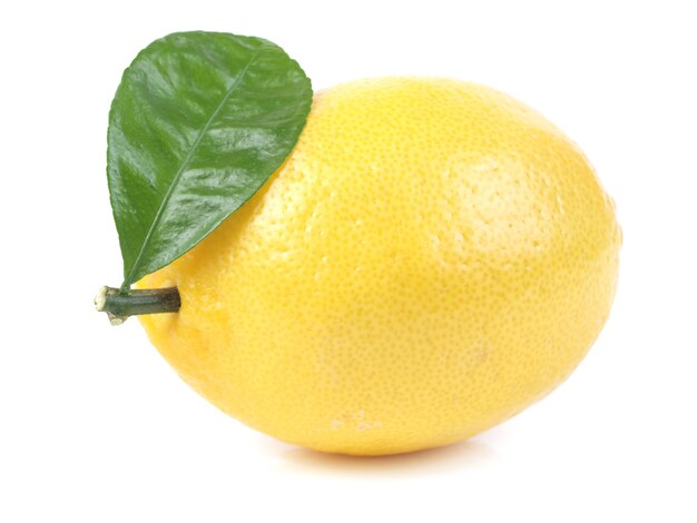 Lemon fruit on a white background