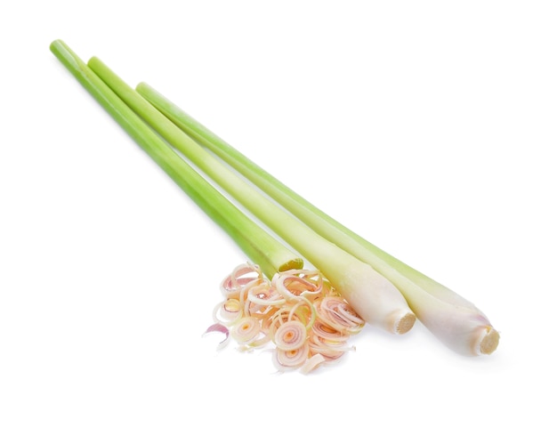 Lemon grass on a white background