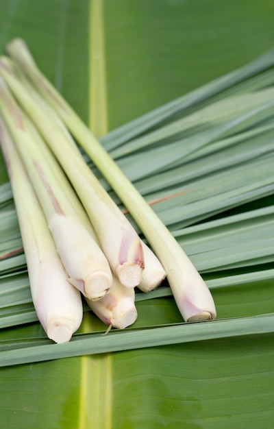 Lemon grass.