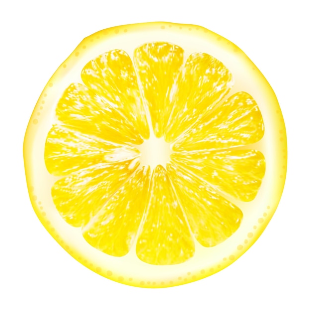 レモンは開花植物の小さな常緑樹の一種です
