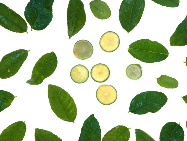 Лимон и листья на белом