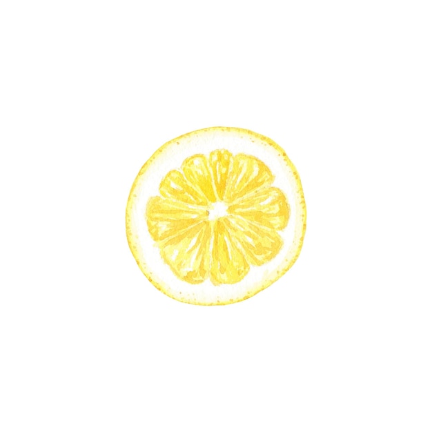 Foto acquerello disegnato a mano dell'illustrazione della fetta di limone nello stile botanico per il clipart di nozze di progettazione della confezione