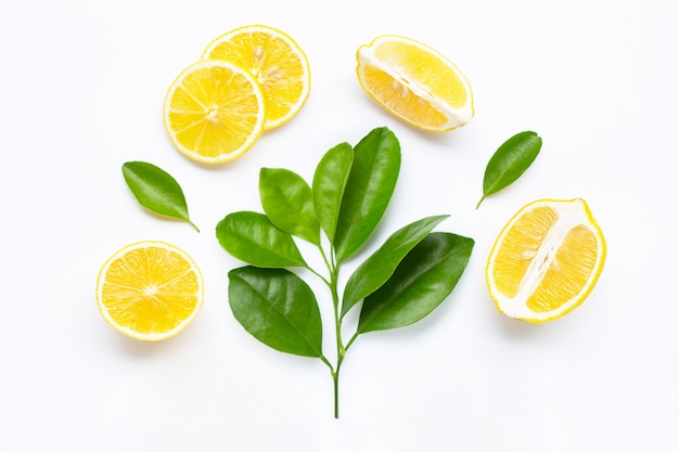 Lemon slices with leaves isolated