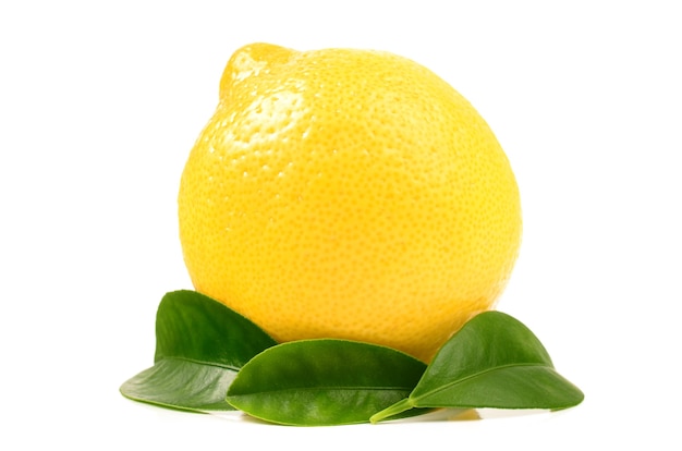 Lemon on a white