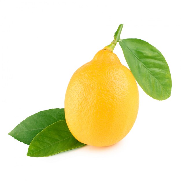 Lemon with leaves on a white background