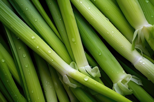 Lemongrass as background and texture