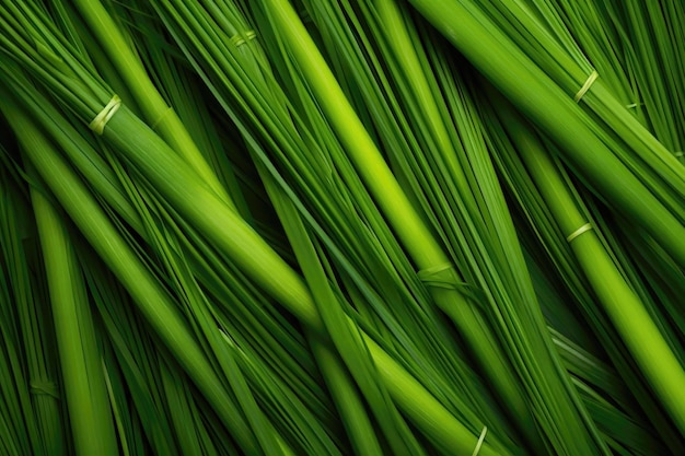 Lemongrass as texture