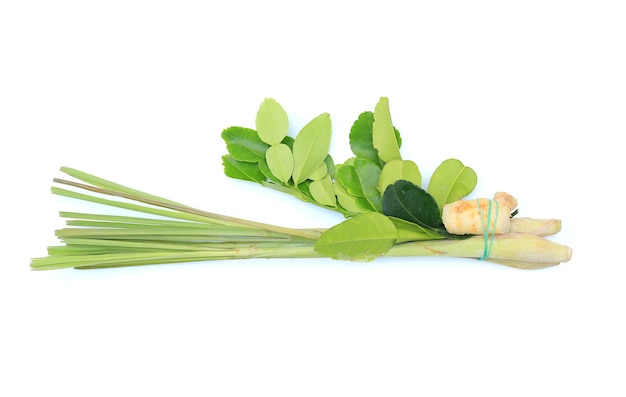 Lemongrass, galangal and leaf of bergamot (kaffir lime) on white background.