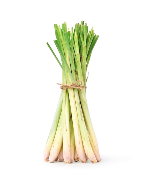 Lemongrass isolated on white