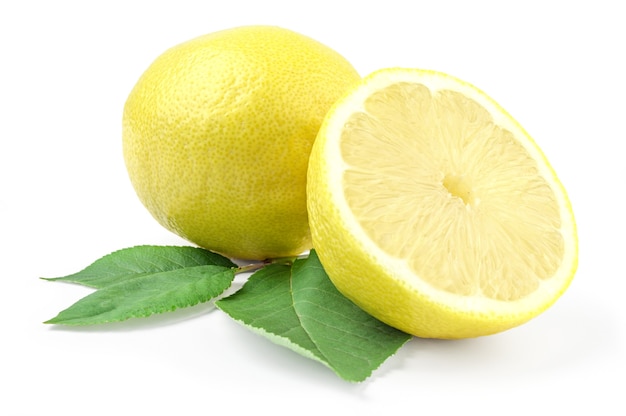 사진 lemonnd 절반 녹색 잎과 흰색 절연