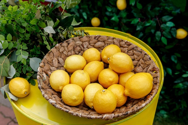 Lemons in a basket