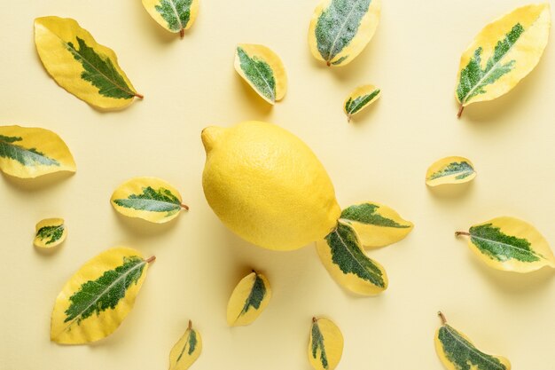 lemons and green leaves isolated on yellow