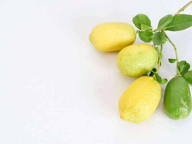 Lemons with leaves