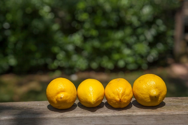 Foto limoni su una ringhiera di legno