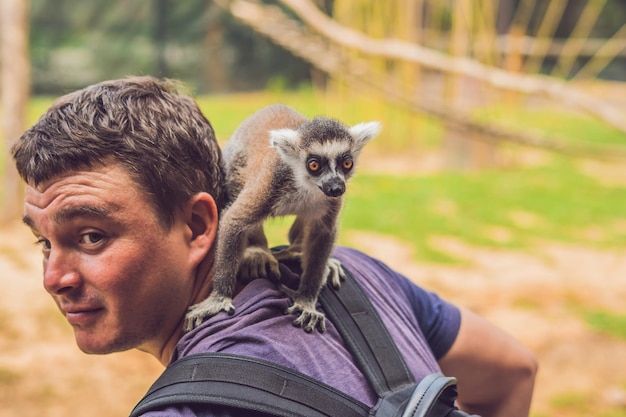 Foto lemur salì sull'uomo. attacco di animali allo zoo