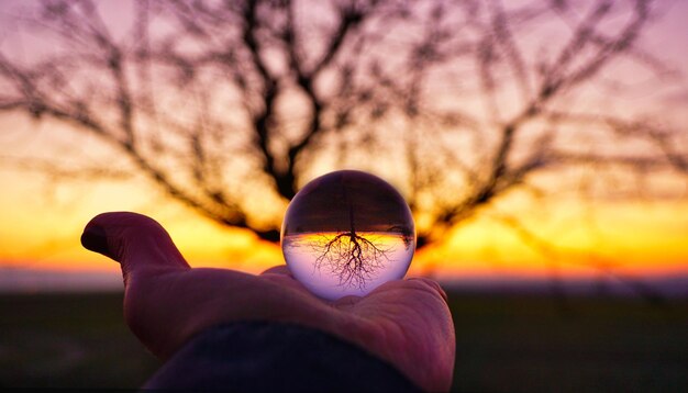 Lensball tree