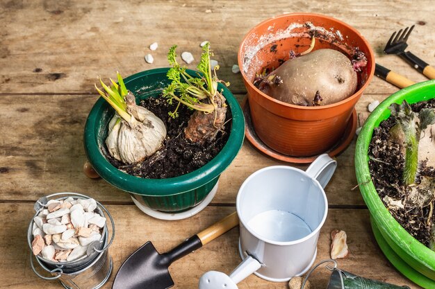 Lente aanplant en tuinieren concept. Gereedschap, gieter, bloempotten, emmers, sierstenen.